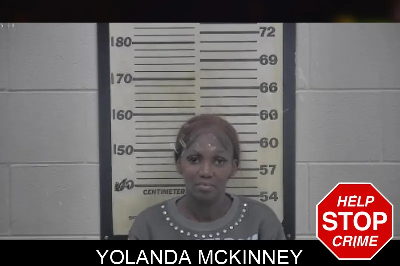 Yolanda McKinney mugshot