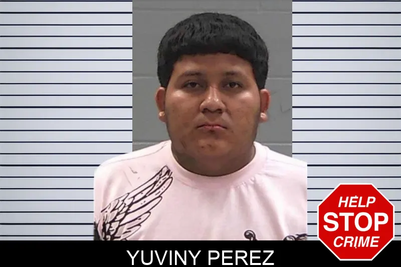 Yuviny Perez mugshot