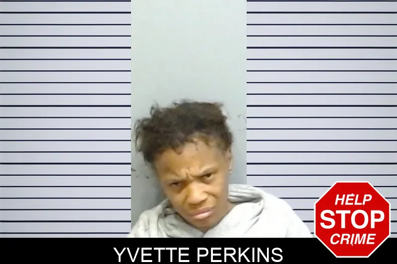 Yvette Perkins mugshot