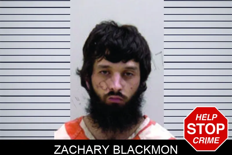 Zachary Blackmon mugshot – Bartow County , Georgia Zachary Blackmon mugshot