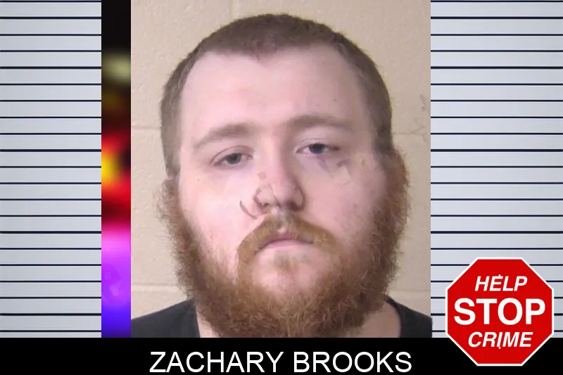 Zachary Brooks mugshot