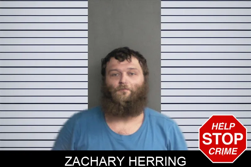 Zachary Herring mugshot