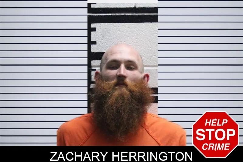 Zachary Herrington mugshot