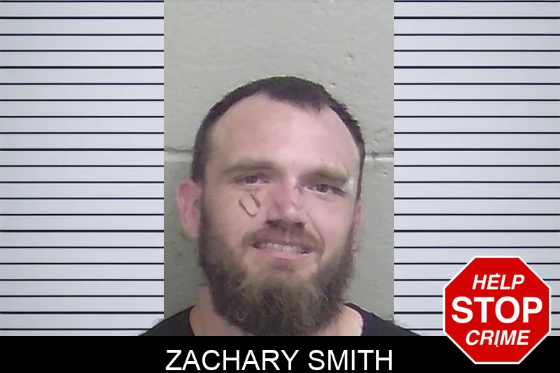 Zachary Smith mugshot – Wayne County , Georgia Zachary Smith mugshot