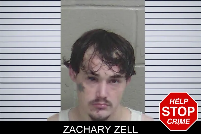 Zachary Zell mugshot – Wayne County , Georgia Zachary Zell mugshot