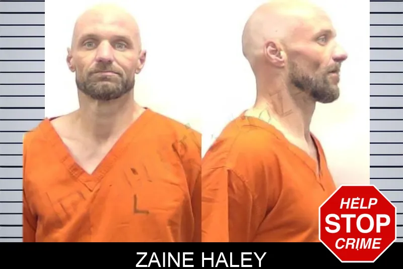 Zaine Haley mugshot