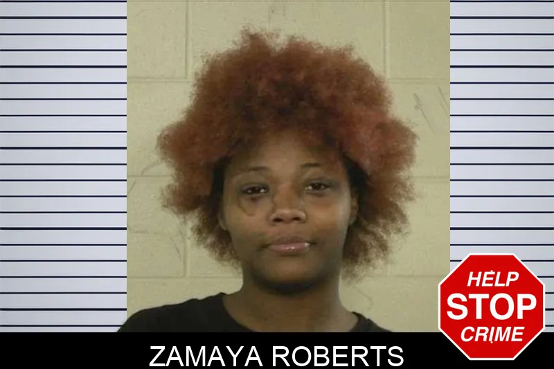 Zamaya Roberts mugshot – Liberty County , Georgia Zamaya Roberts mugshot