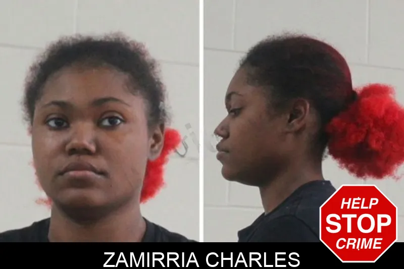 Zamirria Charles mugshot