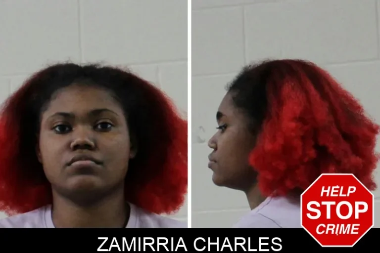 Zamirria Charles mugshot – Houston County , Georgia Zamirria Charles