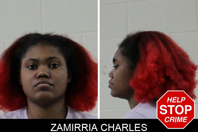 Zamirria Charles mugshot