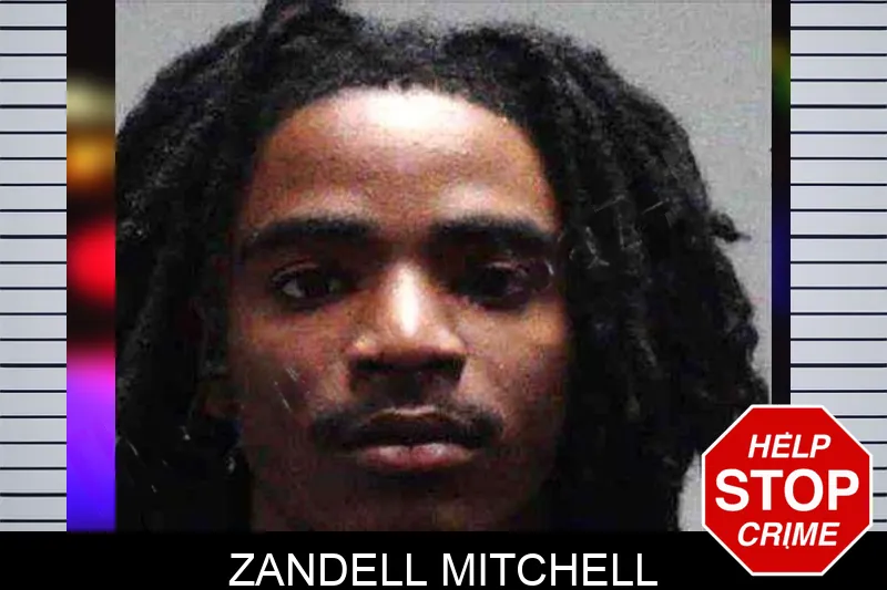 Zandell Mitchell mugshot