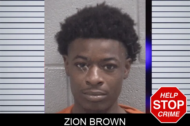 Zion Brown mugshot