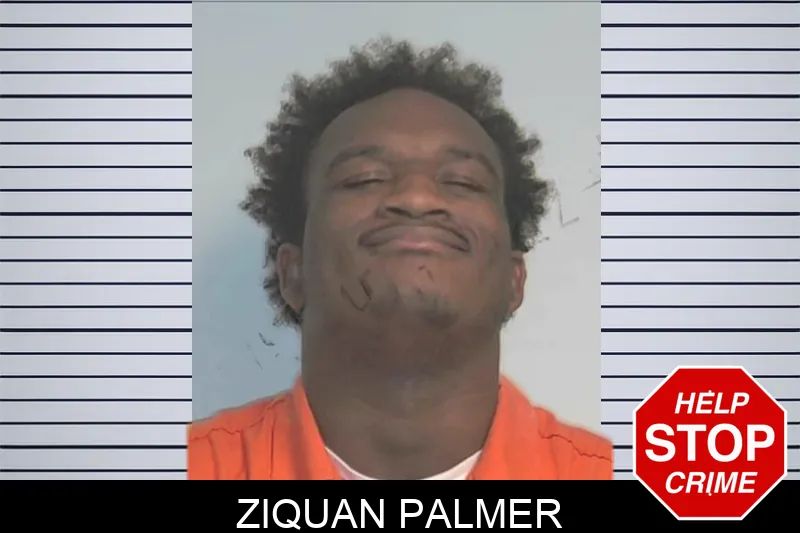 Ziquan Palmer mugshot