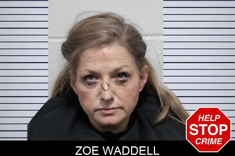 Zoe Waddell mugshot – Habersham County , Georgia Zoe Waddell mugshot