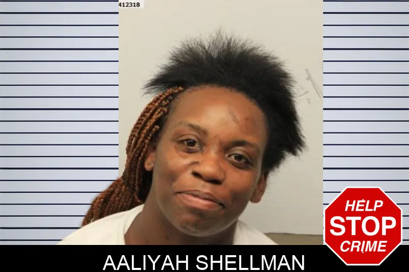 Aaliyah Shellman mugshot