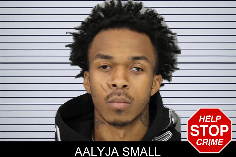 Aalyja Small mugshot