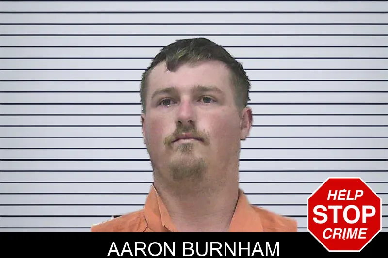 Aaron Burnham mugshot