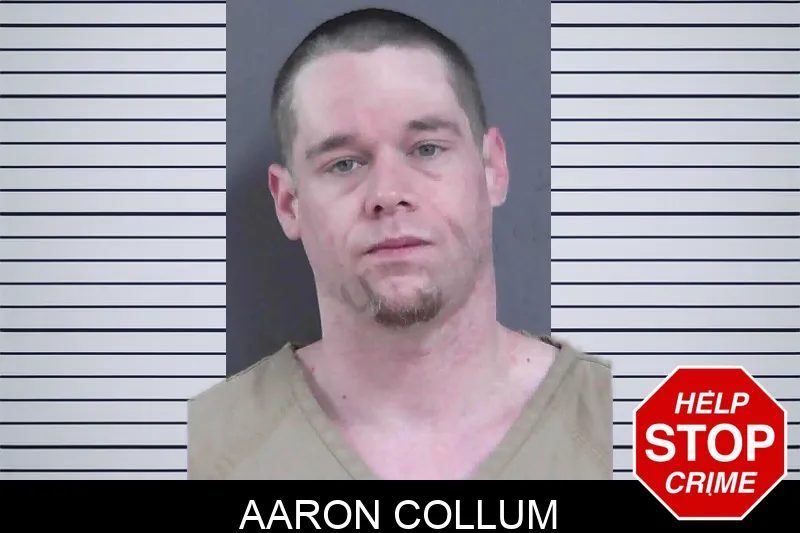 Aaron Collum mugshot
