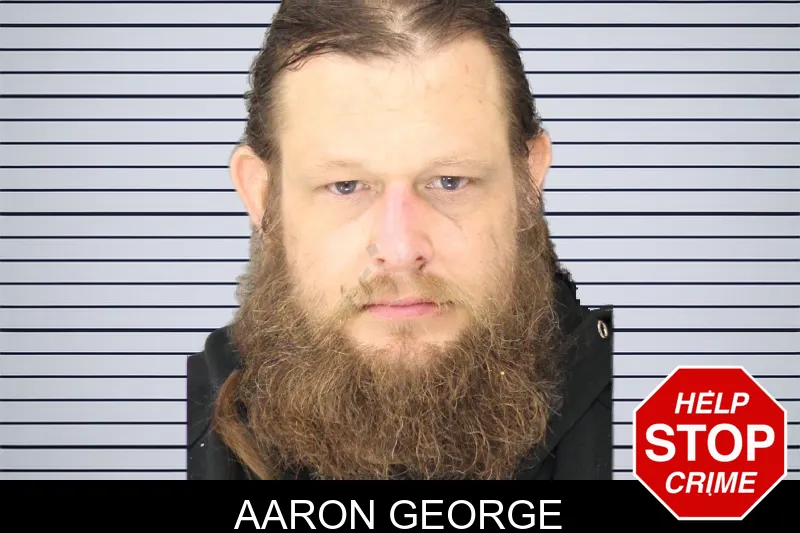 Aaron George mugshot