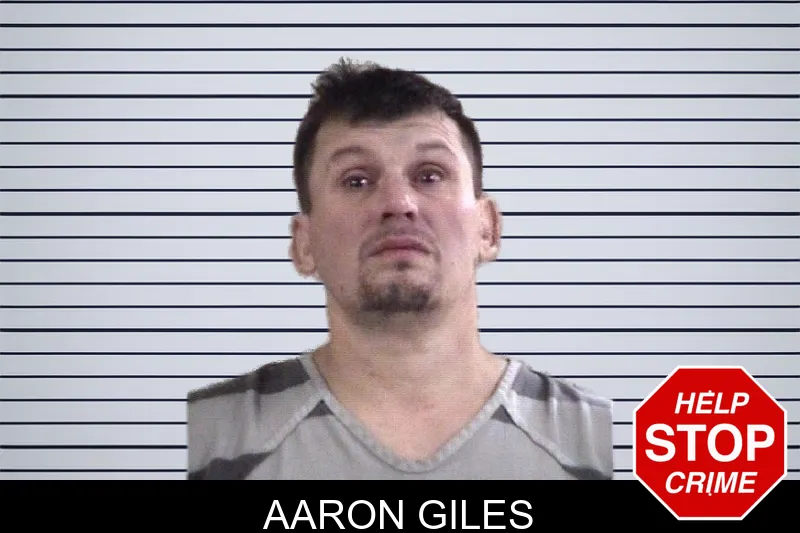 Aaron Giles mugshot