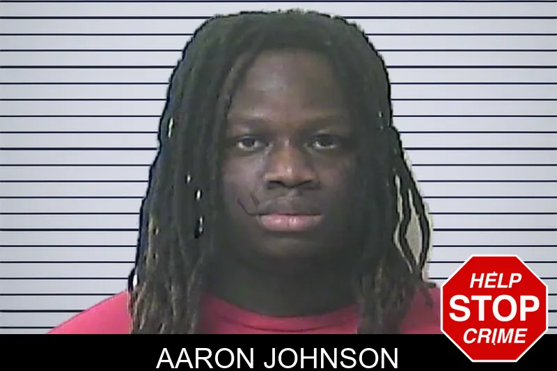 Aaron Johnson mugshot