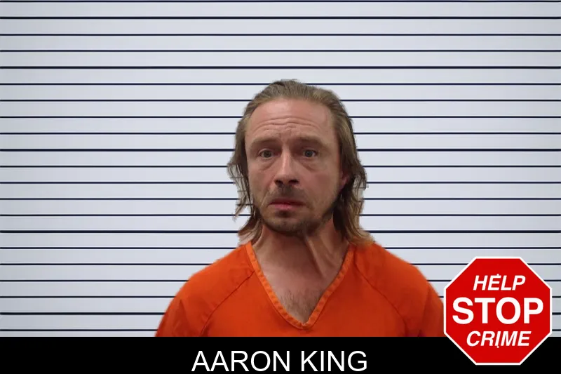 Aaron King mugshot