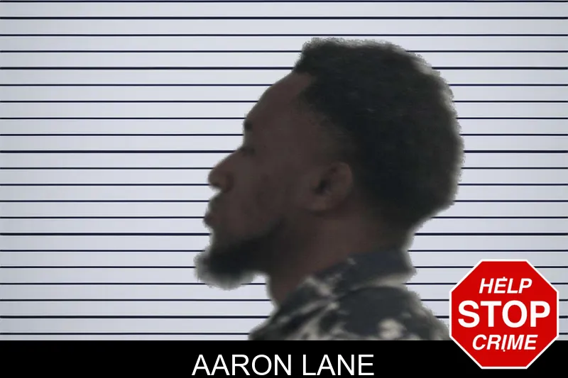 Aaron Lane mugshot