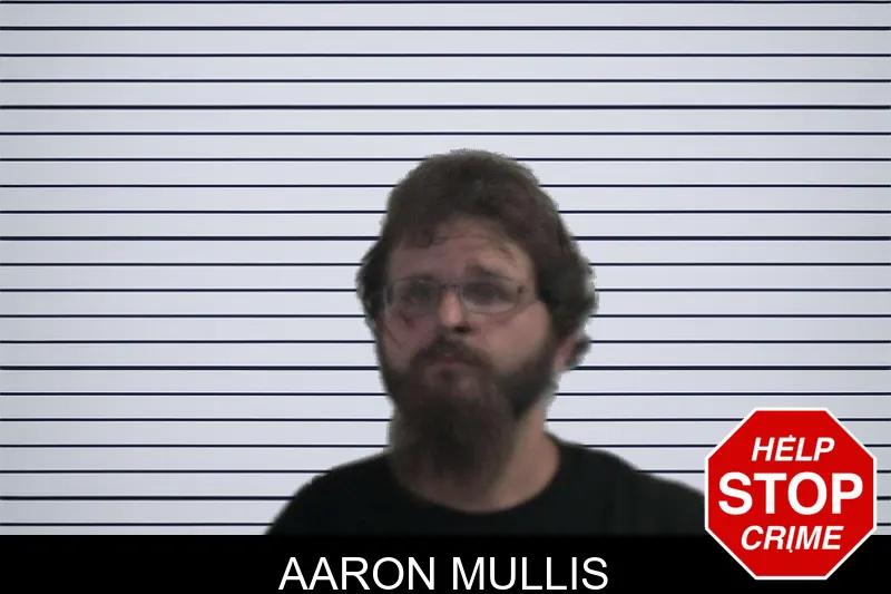 Aaron Mullis mugshot