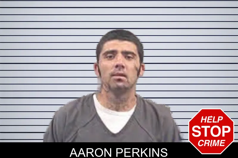 Aaron Perkins mugshot