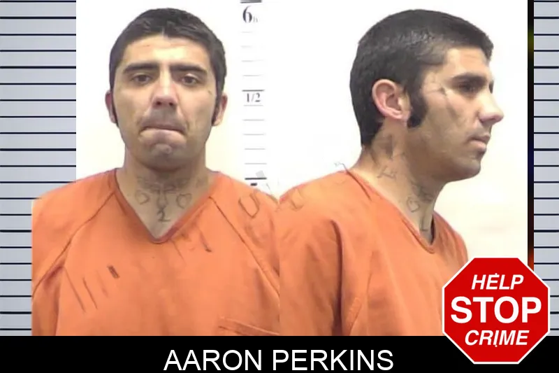 Aaron Perkins mugshot
