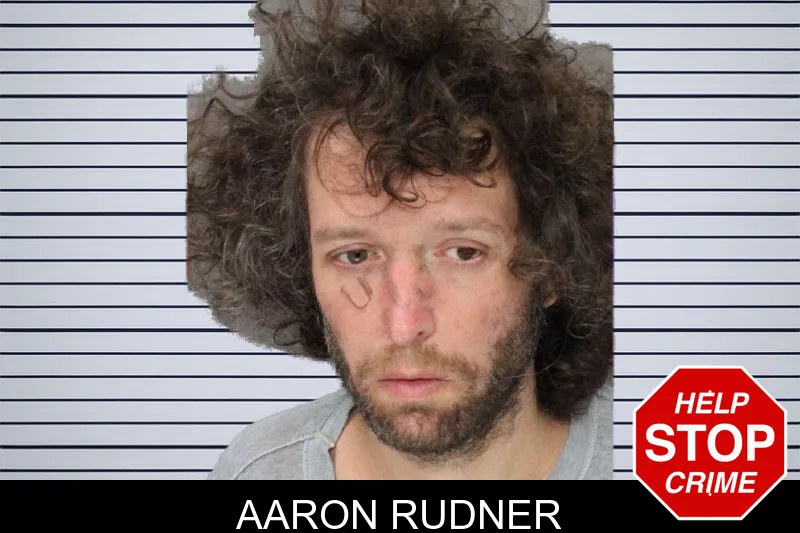 Aaron Rudner mugshot