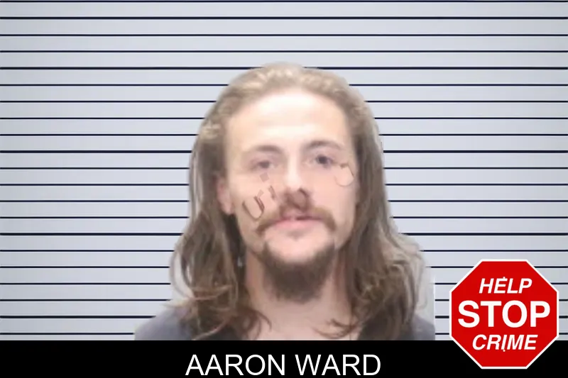 Aaron Ward mugshot