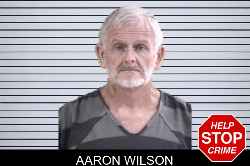 Aaron Wilson mugshot