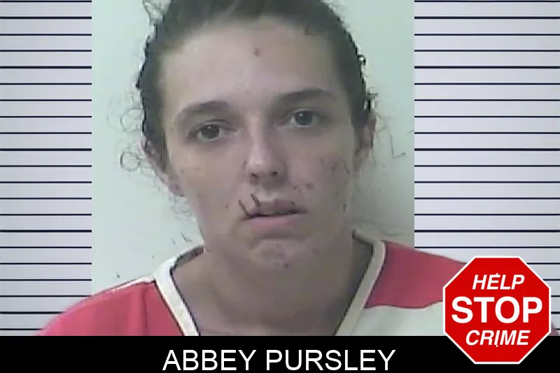 Abbey Pursley mugshot