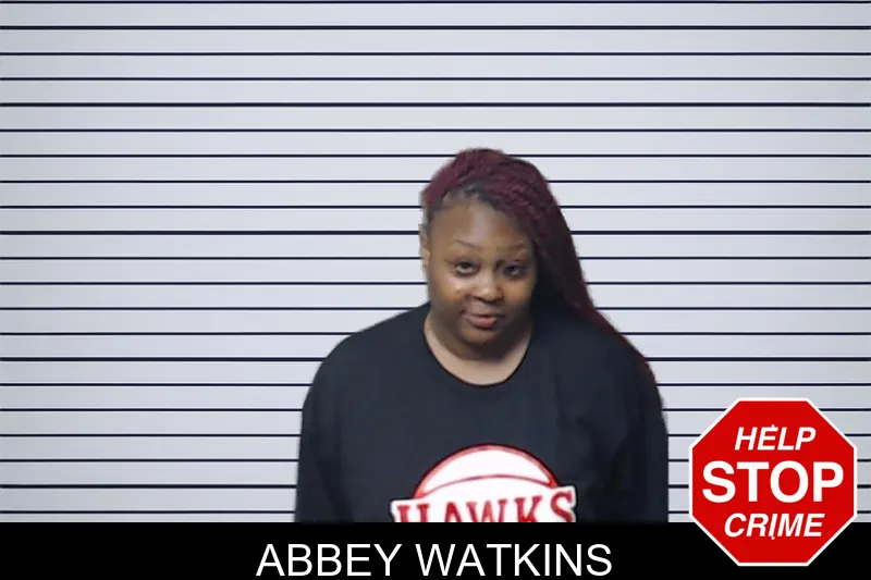 Abbey Watkins mugshot