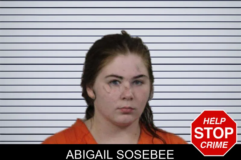 Abigail Sosebee mugshot