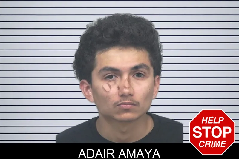 Adair Amaya mugshot