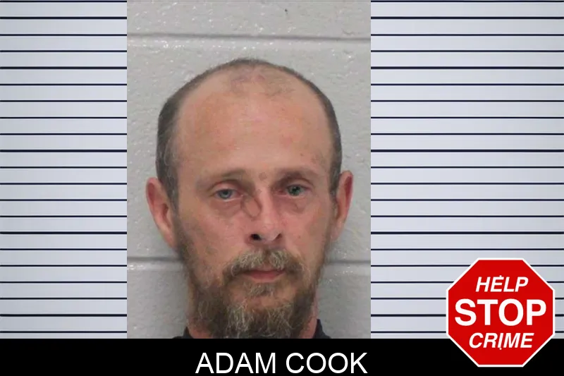 Adam Cook mugshot