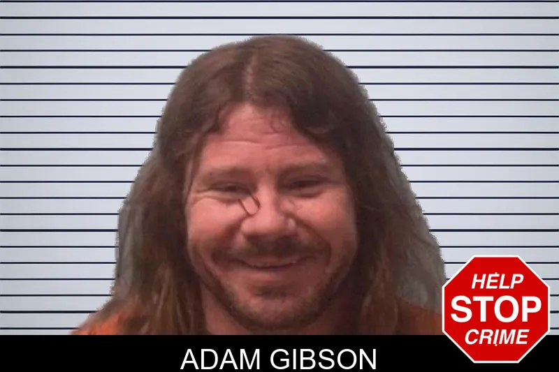 Adam Gibson mugshot