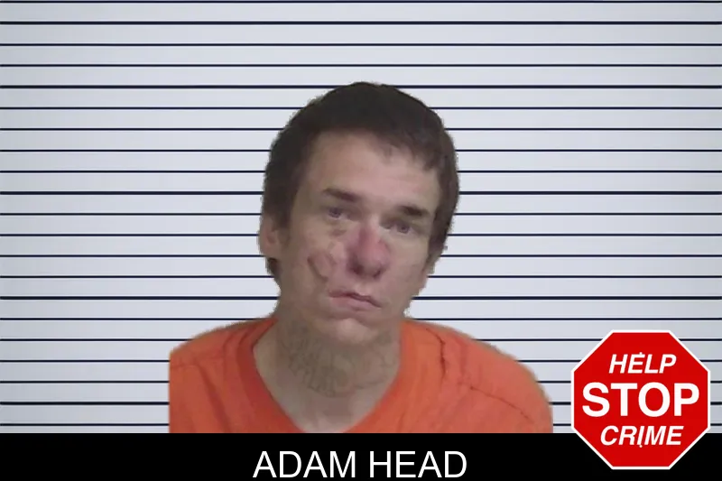 Adam Head mugshot