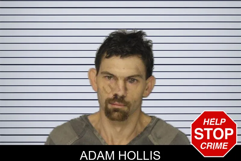 Adam Hollis mugshot