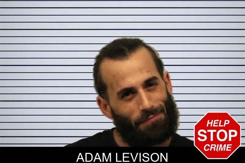 Adam Levison mugshot