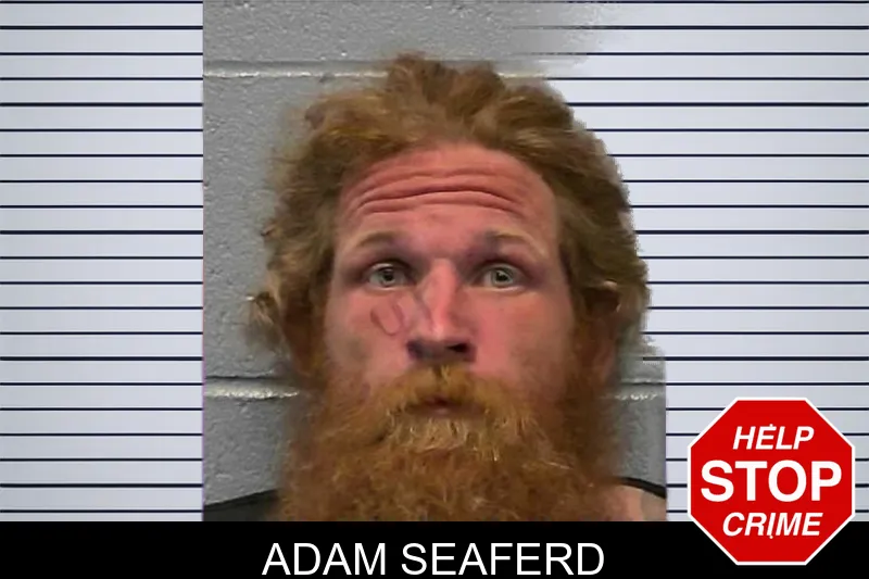 Adam Seaferd mugshot