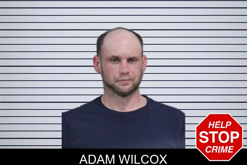 Adam Wilcox mugshot