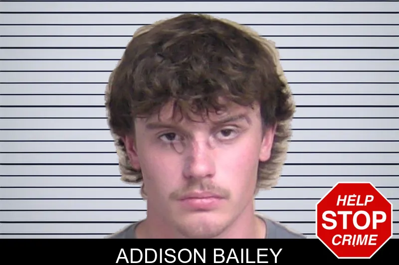 Addison Bailey mugshot