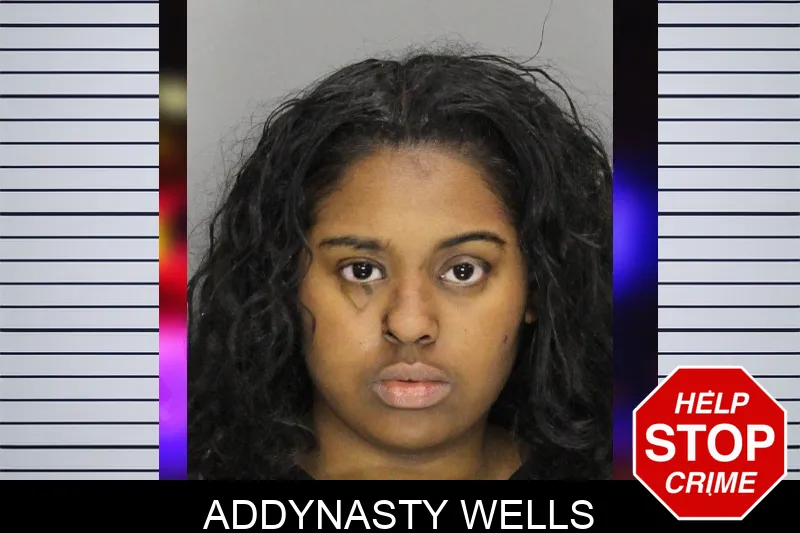Addynasty Wells mugshot