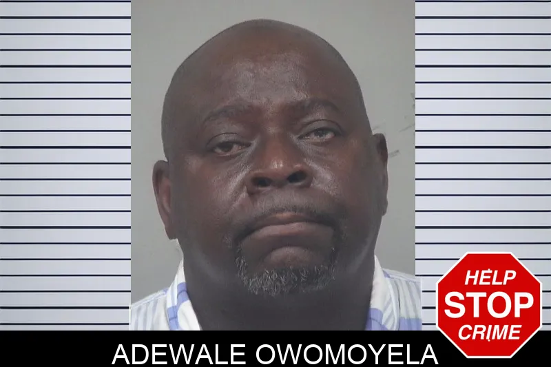 Adewale Owomoyela mugshot