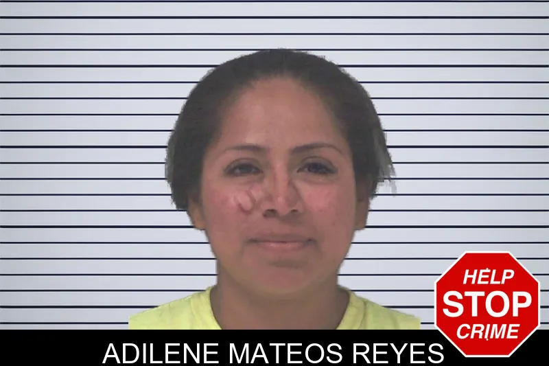Adilene Mateos Reyes mugshot