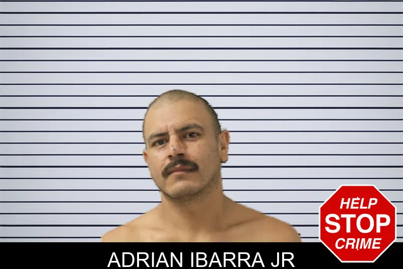Adrian Ibarra Jr mugshot