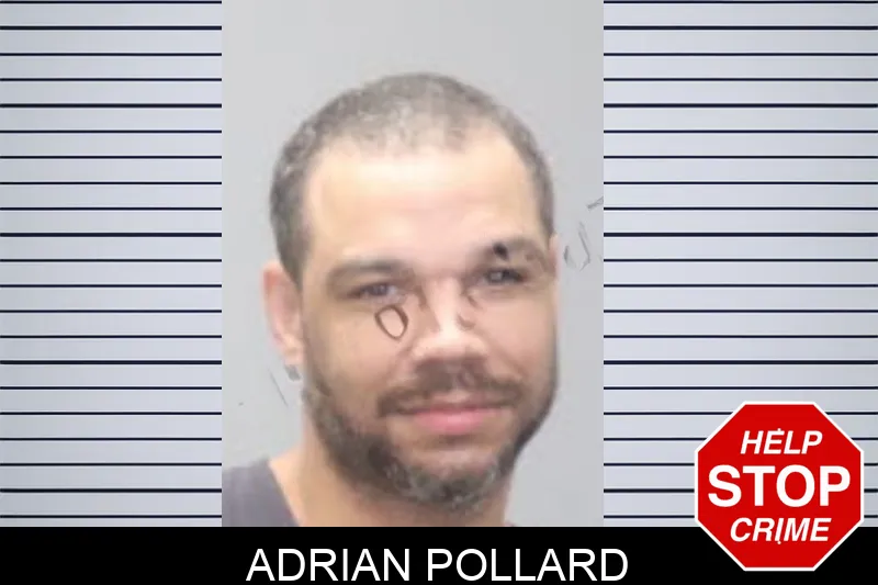 Adrian Pollard mugshot